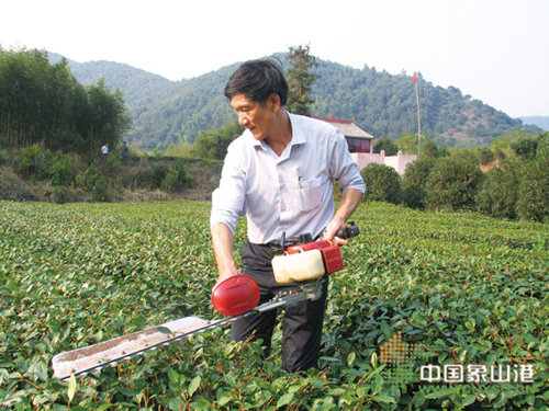 象山茶叶行业出了对响当当的“父子兵”2