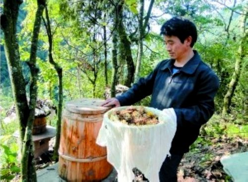重庆石柱中益乡：蜜蜂养殖成农民致富新亮点