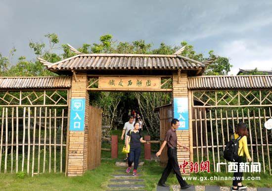 游客参观广西玉林五彩田园铁皮石斛园。