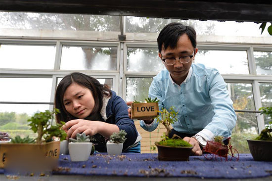 11月20日，王储（右）和团队成员唐彦坤在温室大棚内打理绿植。