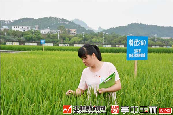 陈海凤：为了大地丰收，为了农户脱贫