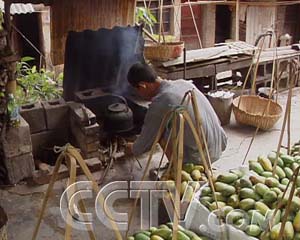 每日农经：赚两份钱的芒果树 每日农经 农业致富经 故事 农业 