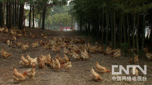 致富经：一个四十年的心结穿越时空之后(图：3）