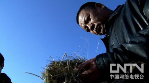 内蒙古五原县：被误解13年的财富牛人（致富经）