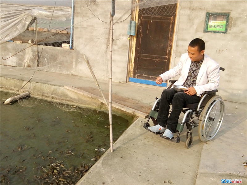 身残志坚 广汉小伙轮椅上开辟水产养殖致富路