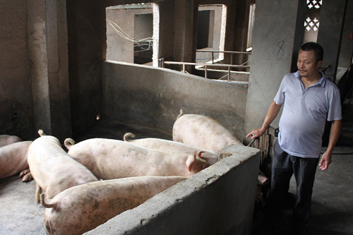 重庆市丰都县：殷中祥，从猪肉贩子到养猪大户