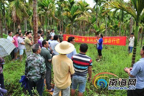 海南省农科院热带果树研究所党支部带农致富 创神奇药水