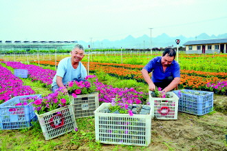 贵州：新思维 新方式 新农业