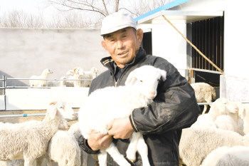 山东无棣县：骑在羊背上的代家村