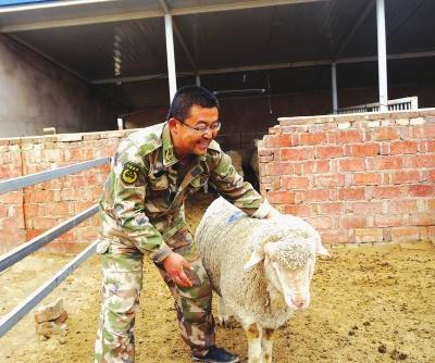 昔日白领成“羊倌” 男子大山中带领村民搞养殖