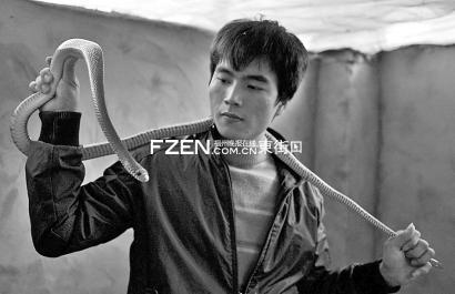 福州男子养蛇带村民致富 蛇都养在被子里
