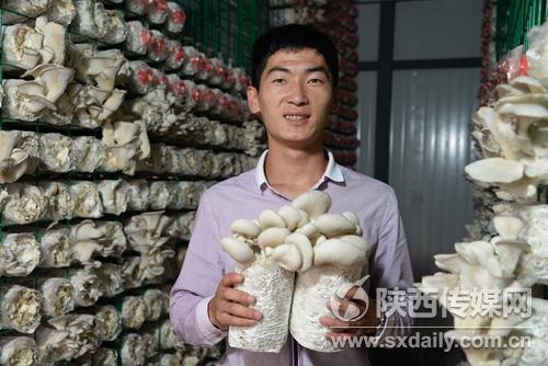 陕北“90后”大学生返乡创业 种蘑菇带乡亲致富