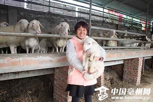 安徽亳州贫困户给羊羔盖“小洋楼” 扶贫羊变“致富羊”