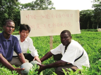 王安华：把农技种子播撒在非洲大地