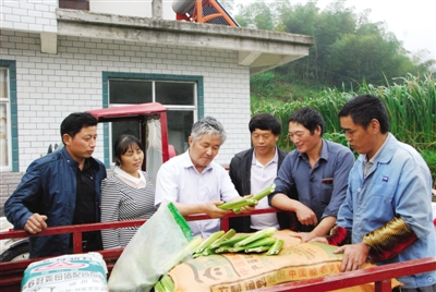 情况储琳向村民讲解茭白种植技术