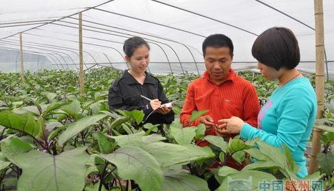 江西天花村：一个农民的果蔬致富经