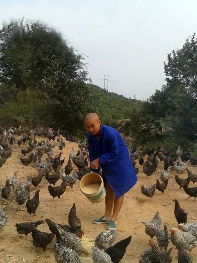 江西罗湖镇：90后小伙自主创业成芦花鸡养殖“达人”
