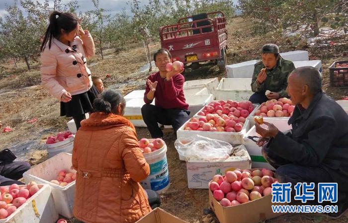 陕西志丹县第一书记的“苹果致富经”