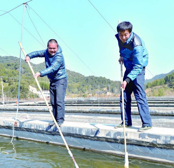 福建尤溪县岳溪村：高山养殖三文鱼 高端普及成通衢2