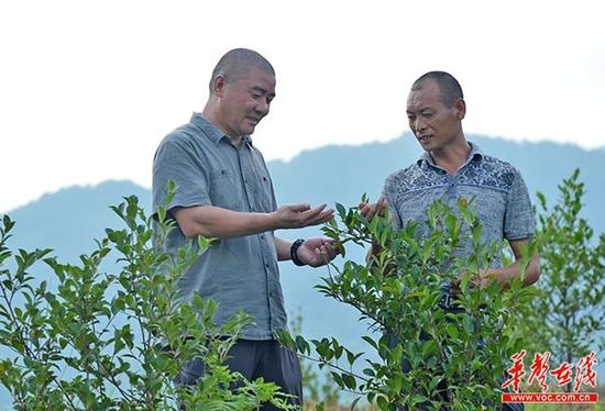 涂秩平：带农民一起返乡创业 生态农业激活山野