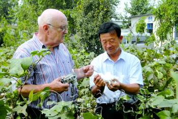 杨金铎正与德国专家卡尔海因博士交流棉花育种
