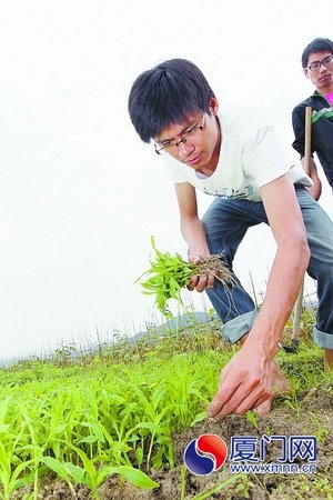 80后大学毕业生不当金融白领辞职当农民(图：2）