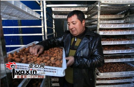 新疆皮山县建117座杏烘干房 鲜杏制成杏干受益高出三四倍