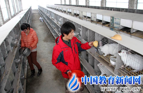 山东沂南县：小兔子长成大产业