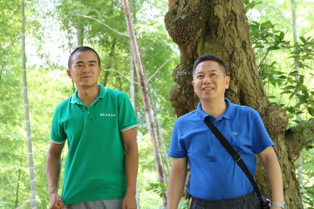 青海平安县：大力发展林下养殖 切实增加农民收入