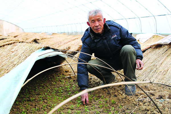 湖北丹江口：张声波带动村民一起致富