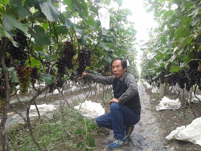 陕西户县：农民任志刚的一个梦想