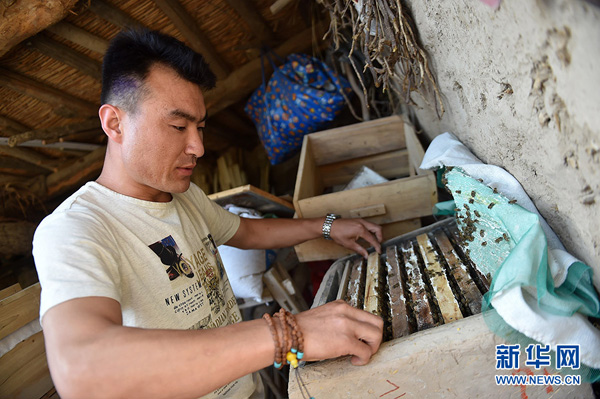 在宁夏固原市彭阳县孟塬乡小石沟村，陈泽恩在检查蜂箱（6月21日摄）。