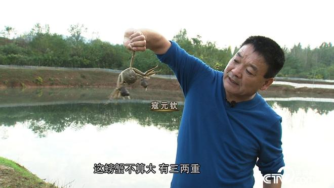 河南淅川县：“魔咒”泉里有螃蟹 3个月要捞2000万