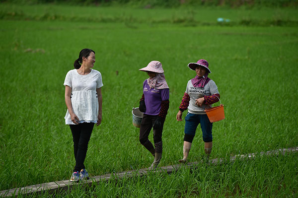 5月3日，梁永英（左）在田里和她请来喷洒农药的村民交谈。