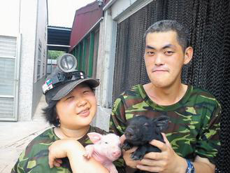 喜憨儿阿政（右）与阿珍在牧场养猪找到自信心，让家长感动。