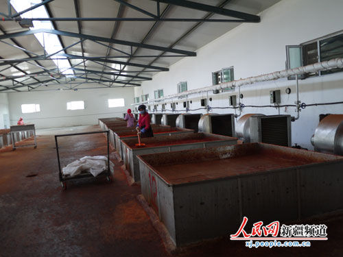 新疆和静县脱水蔬菜产业助农增收