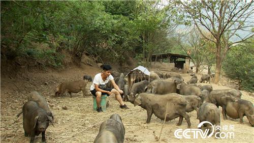 汪晓辉：90后小伙3年从负翁到富翁《致富经》