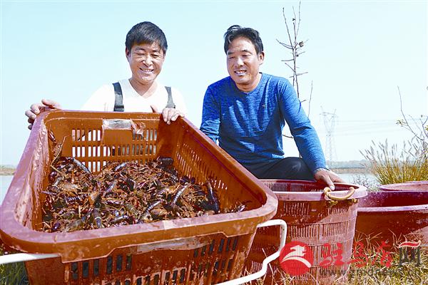 河南正阳县：龙虾养殖托起村民致富梦