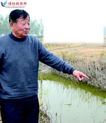 寿光71岁老汉种稻养虾 玩转立体农业